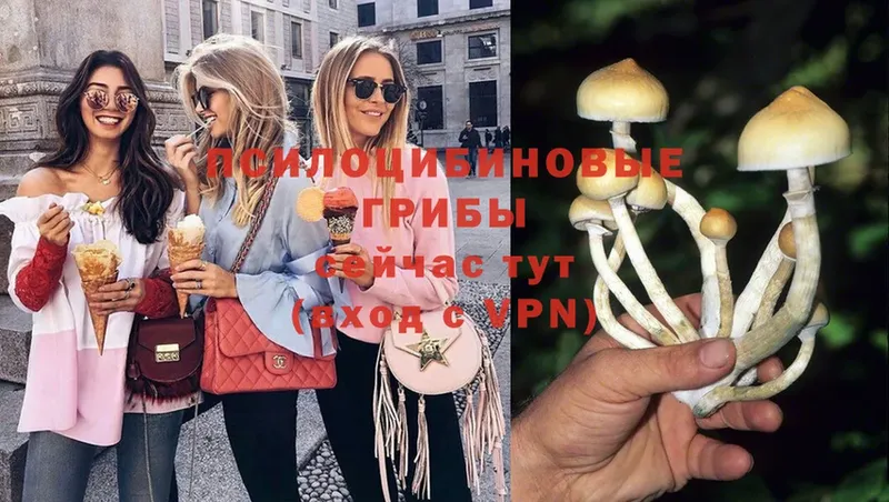 даркнет сайт  Саяногорск  Псилоцибиновые грибы Magic Shrooms 